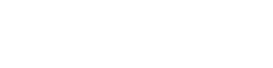 A.P.S Public Inter College